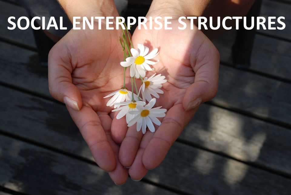 Social Enterprise Structures